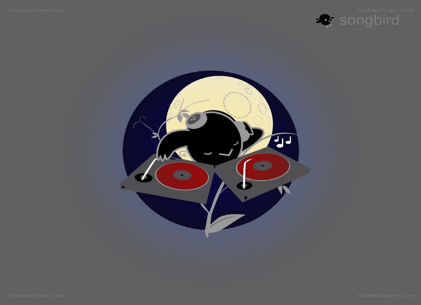 DJ bird under the moon