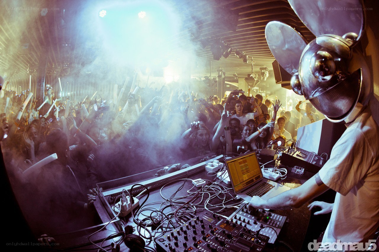 DJ performing at a concert