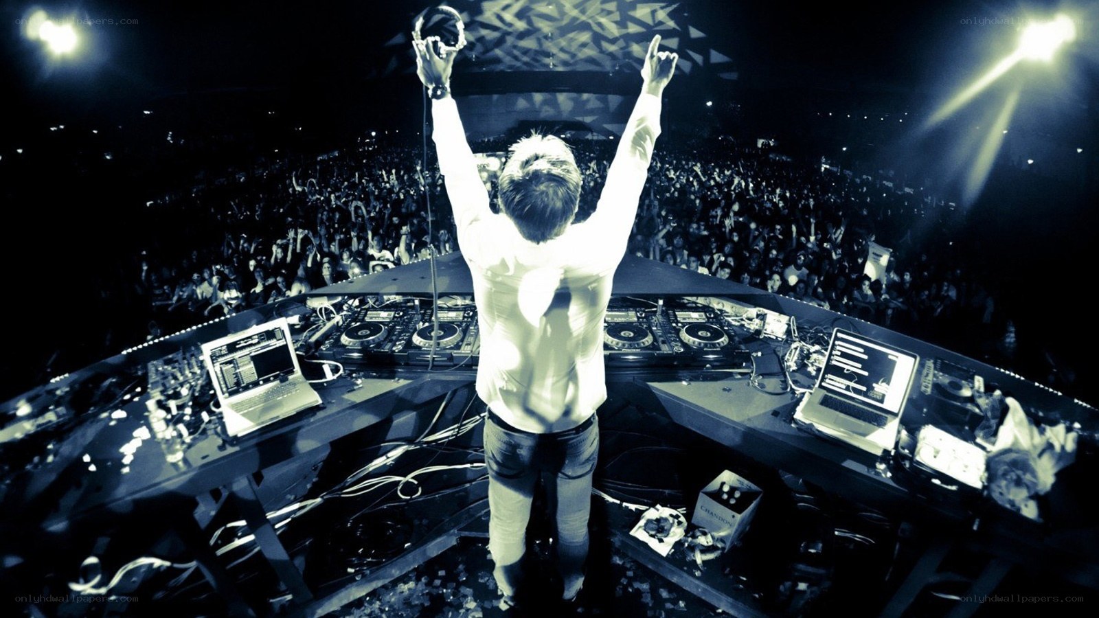 DJ performing at a concert