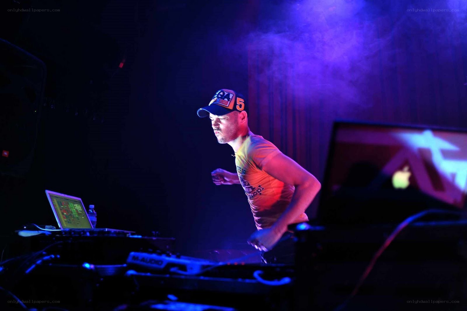 DJ performing at a concert