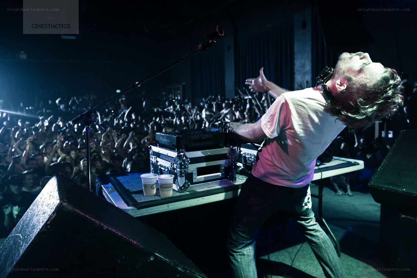 DJ performing at a concert