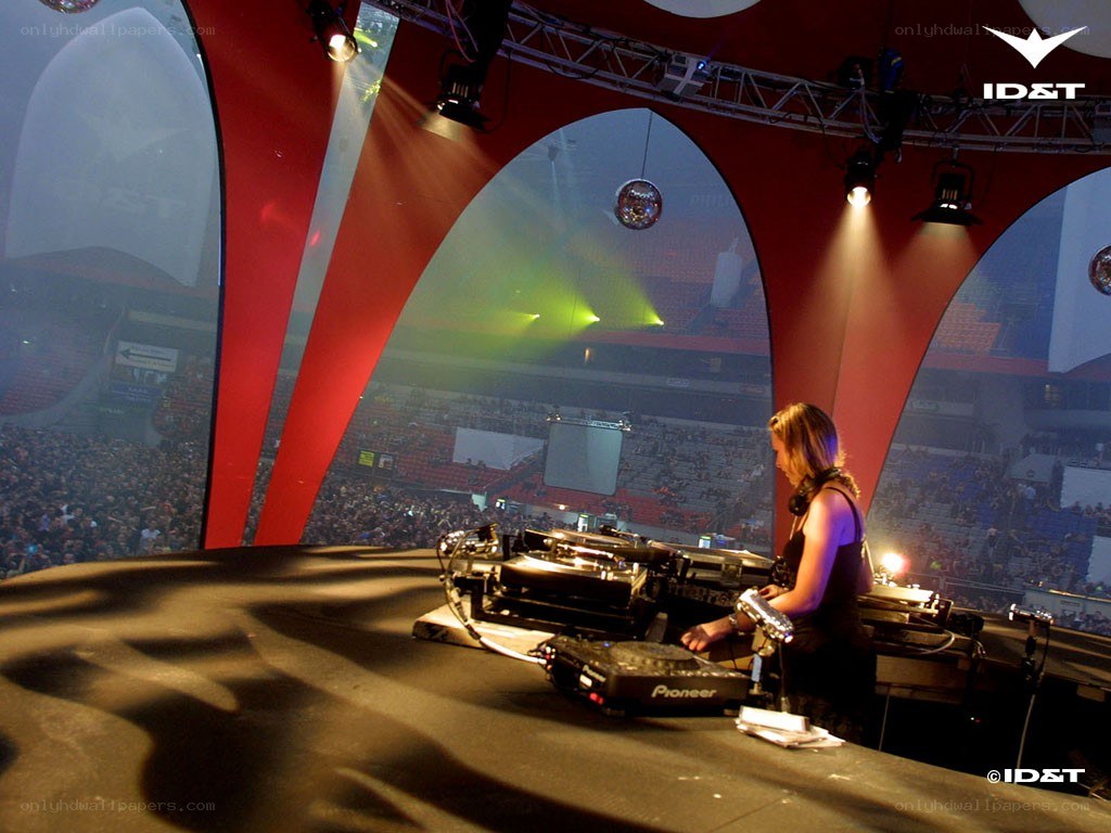 DJ performing at a concert