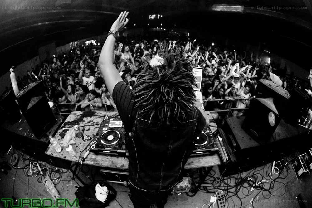 DJ performing at a concert
