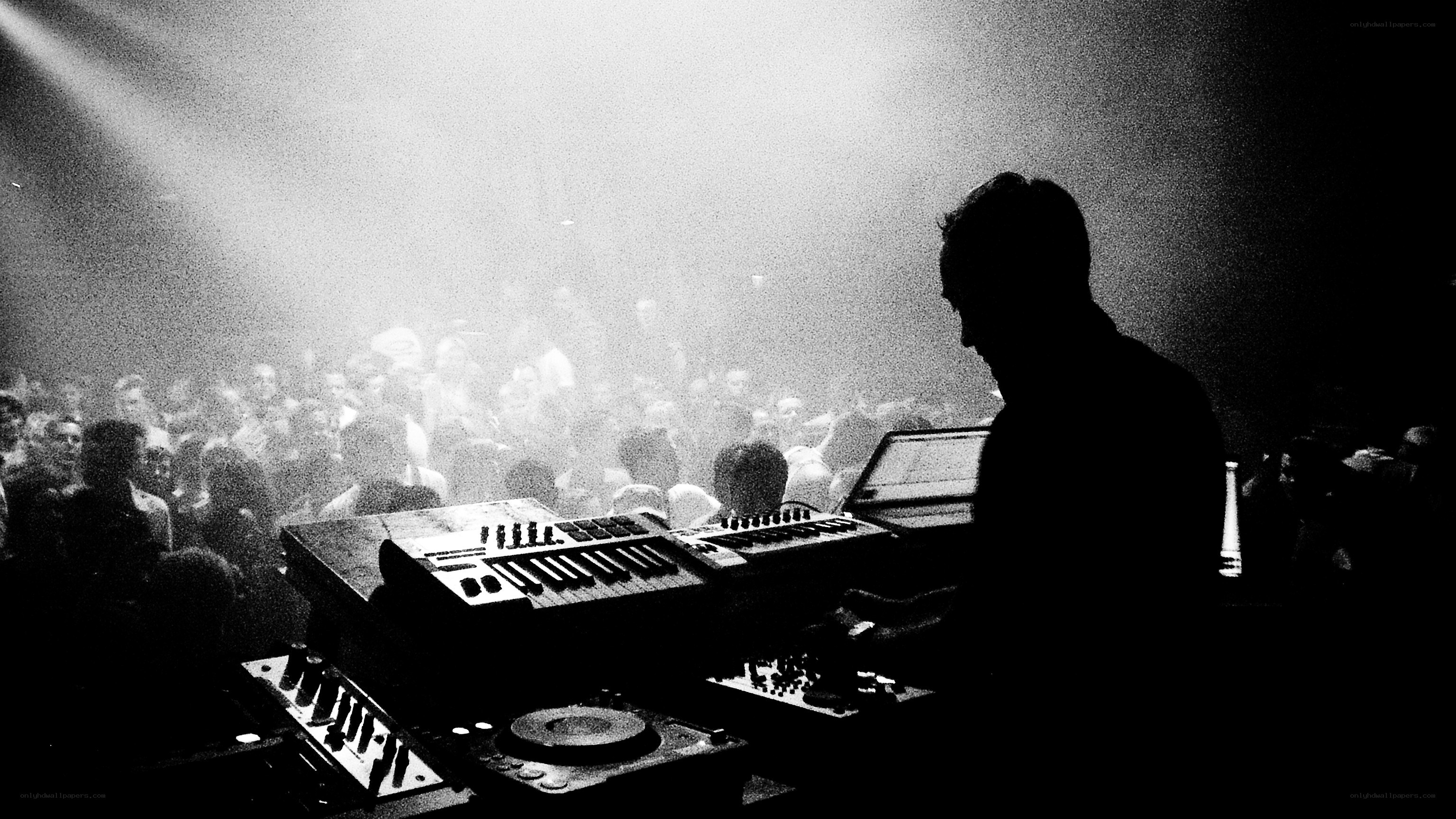 DJ performing at a concert