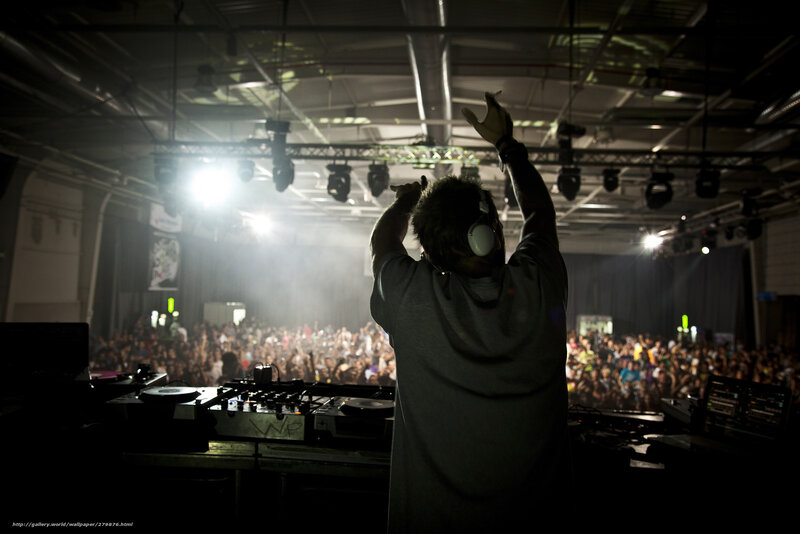 DJ performing at a concert