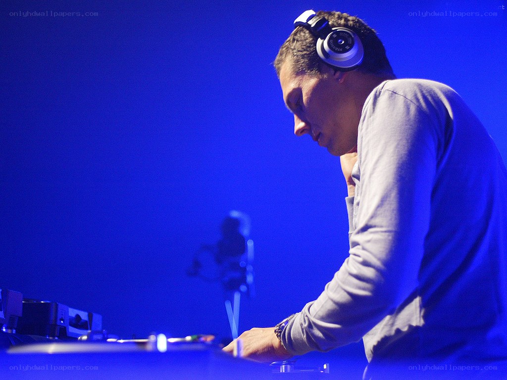 DJ performing at a concert