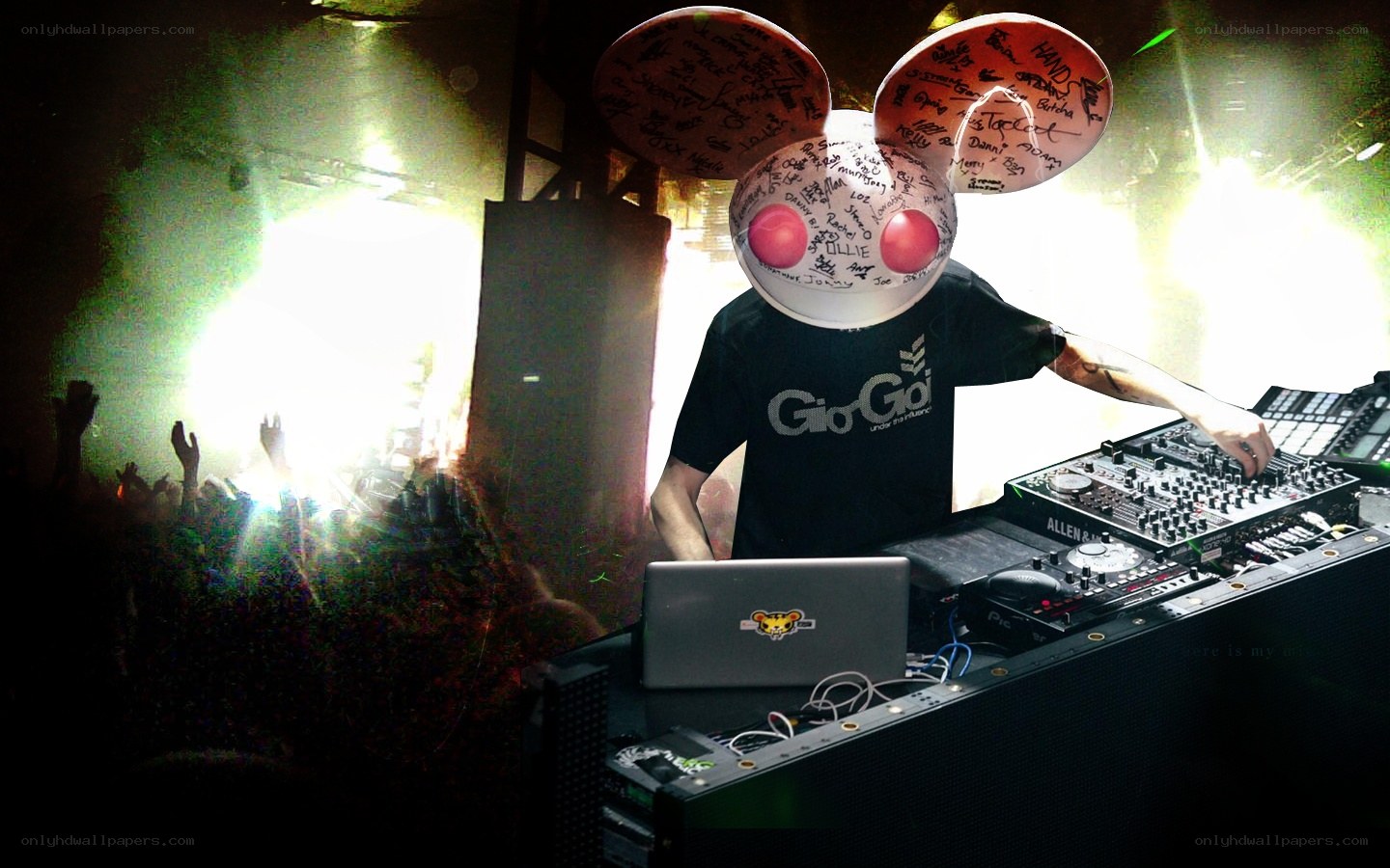 DJ performing at concert
