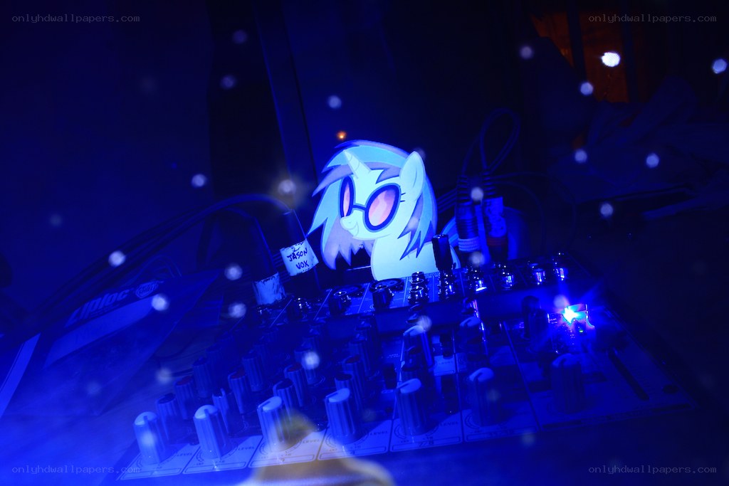 DJ pony on a mixer