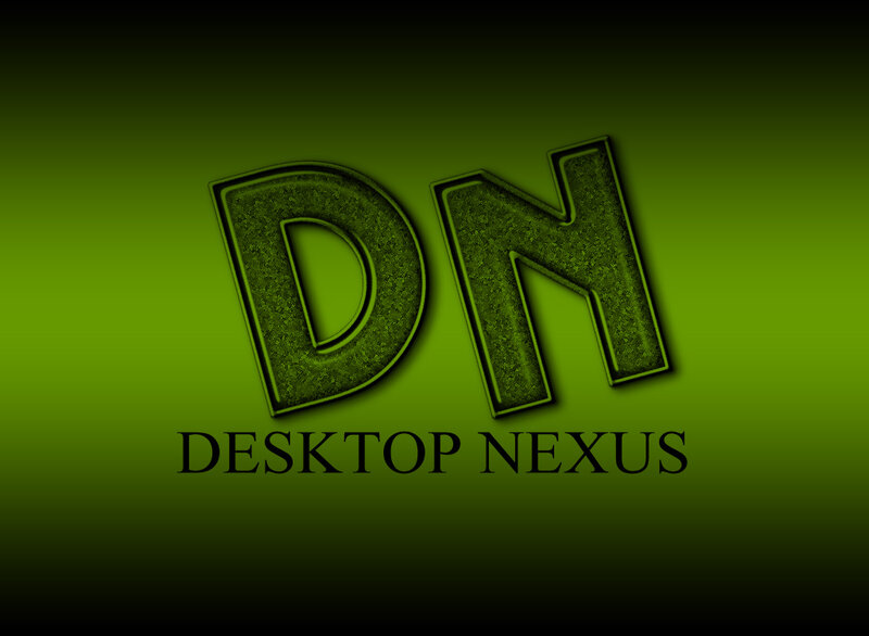 DN Logo on Green Background