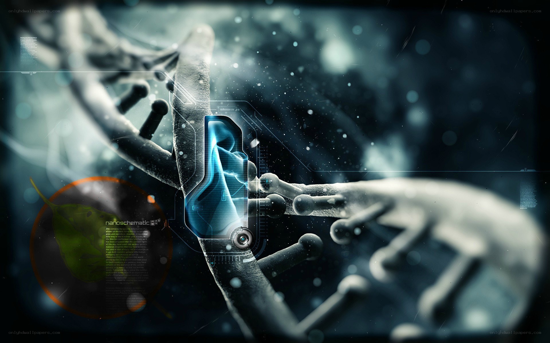 DNA and nanotechnology interface