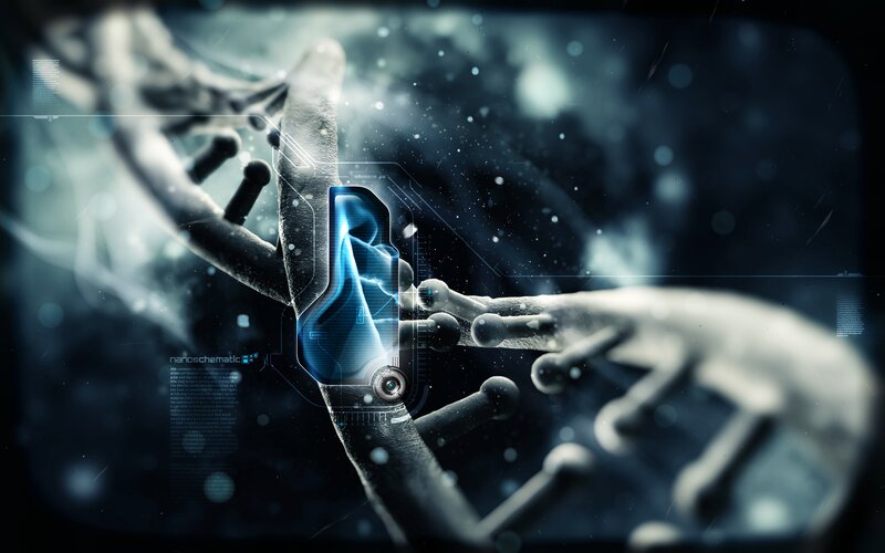 DNA and nanotechnology interface