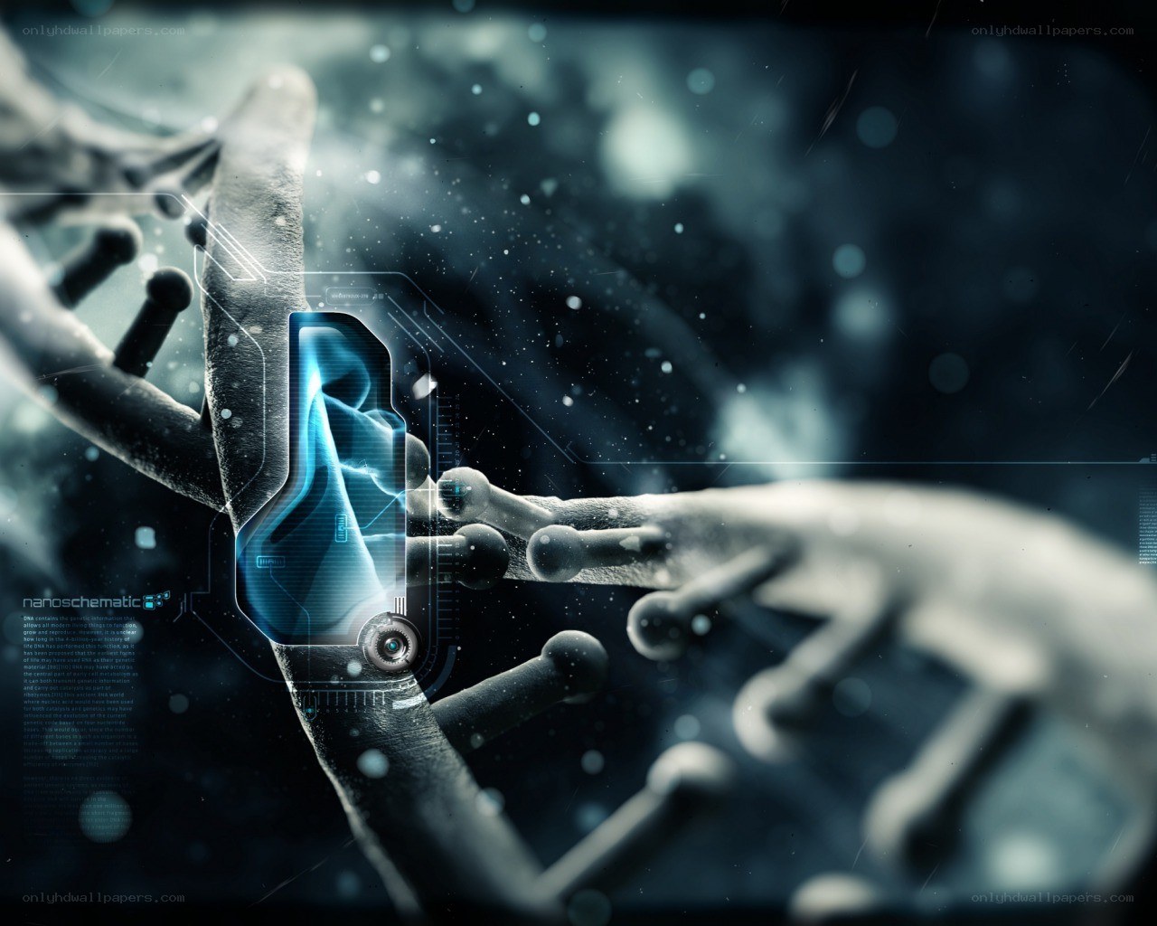 DNA and nanotechnology interface