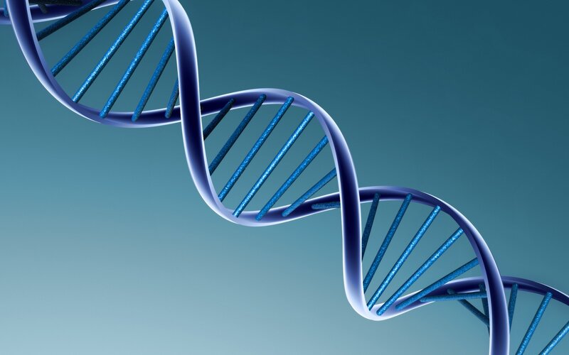 DNA Double Helix — 3d Render