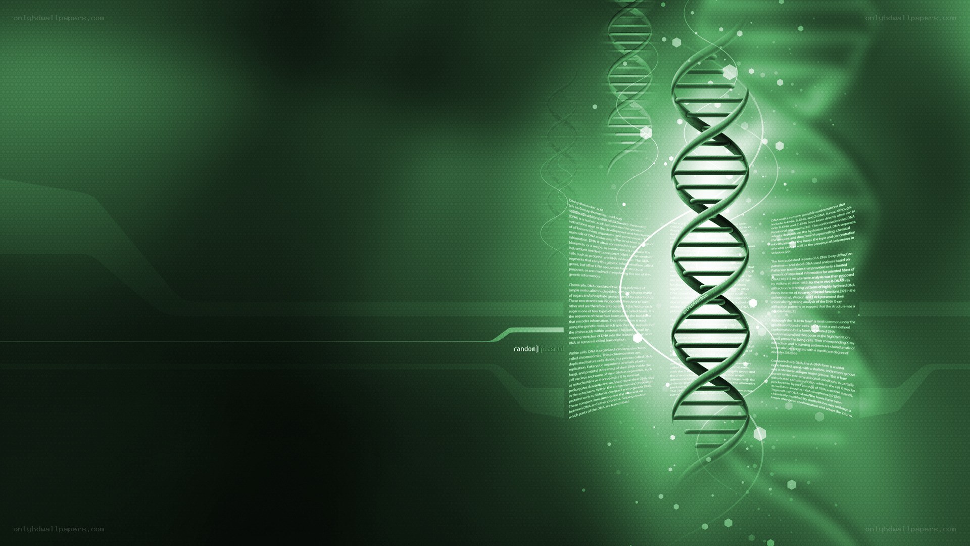 DNA double helix background