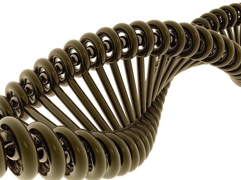 DNA Double Helix — Brown