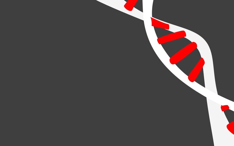 DNA Double Helix — Gray, Neutral