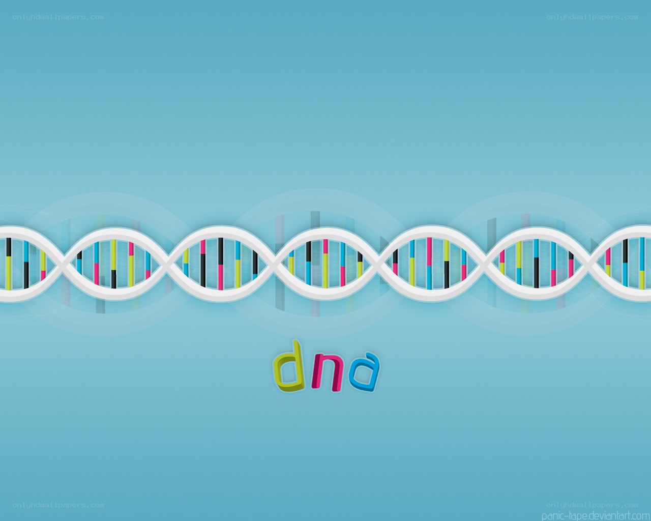 DNA double helix illustration