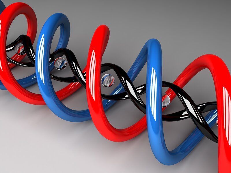 DNA Double Helix Model — Red
