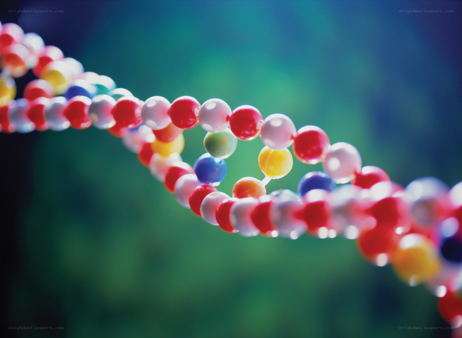 DNA double helix model
