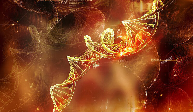 DNA Double Helix — Orange