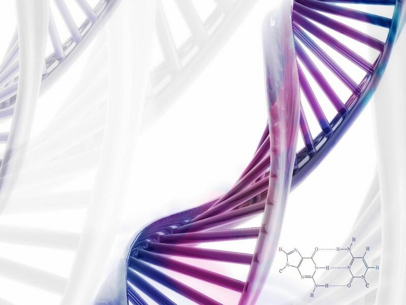 DNA Double Helix — Purple, Scientific, 3d Render, Chemical Structure