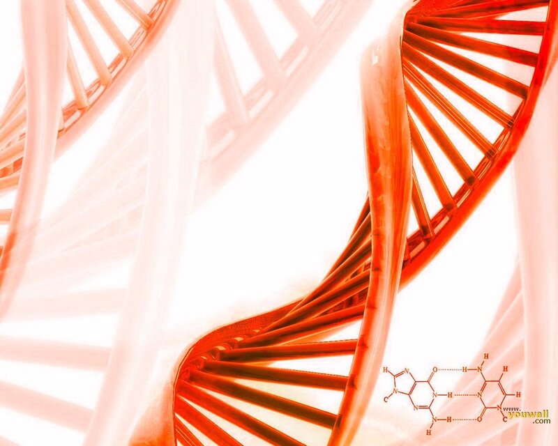DNA Double Helix — Red