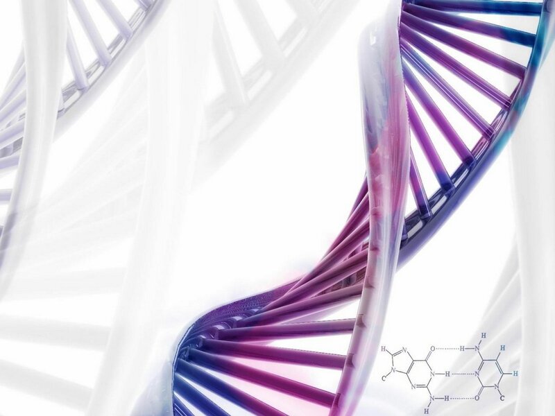 DNA double helix structure