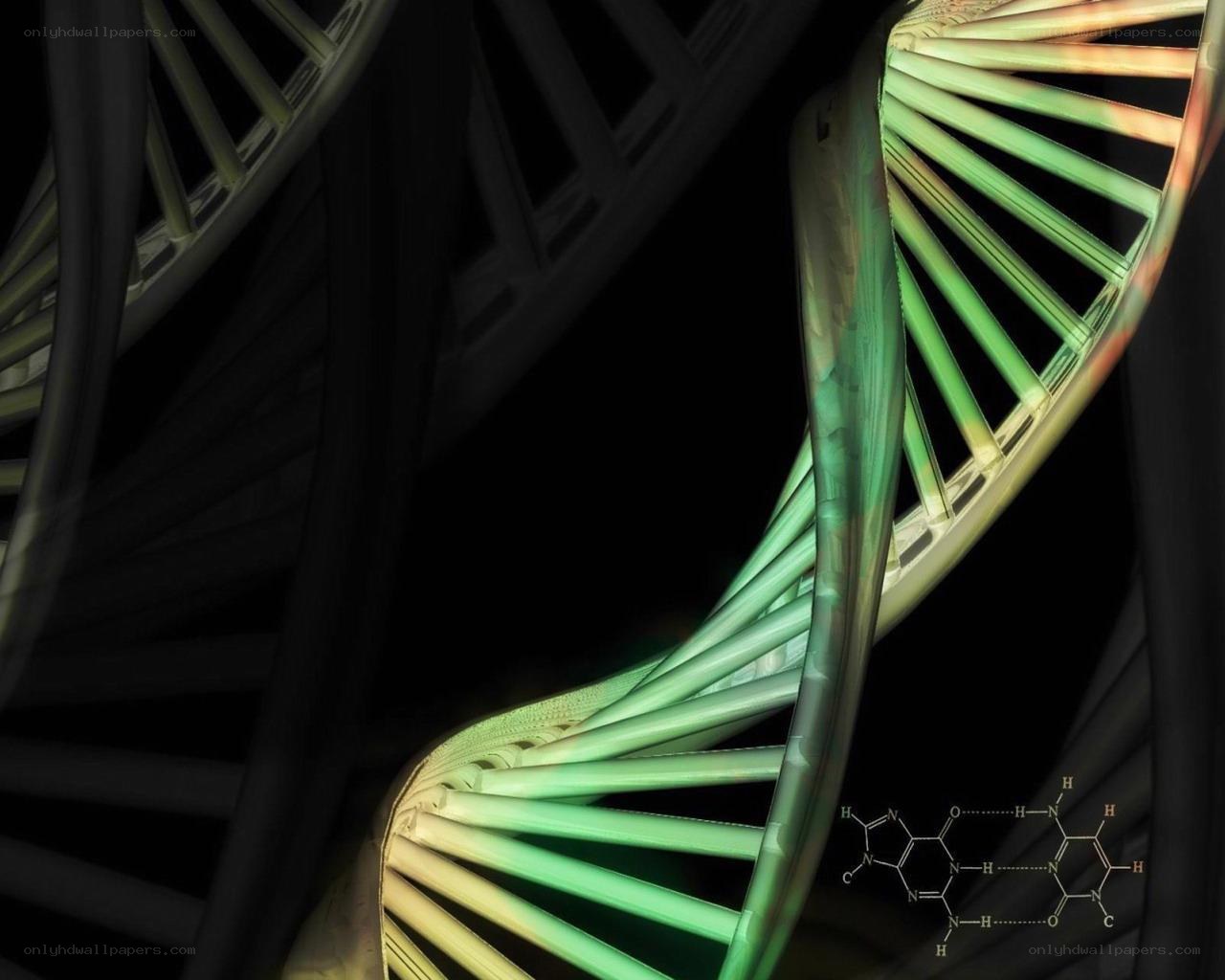 DNA double helix structure