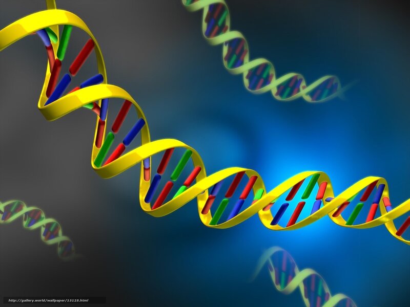 DNA double helix structure