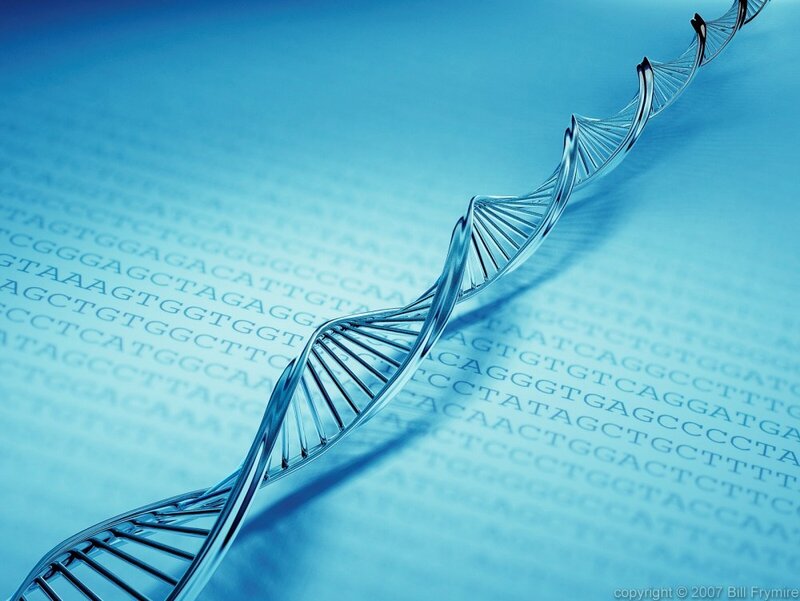 DNA double helix structure