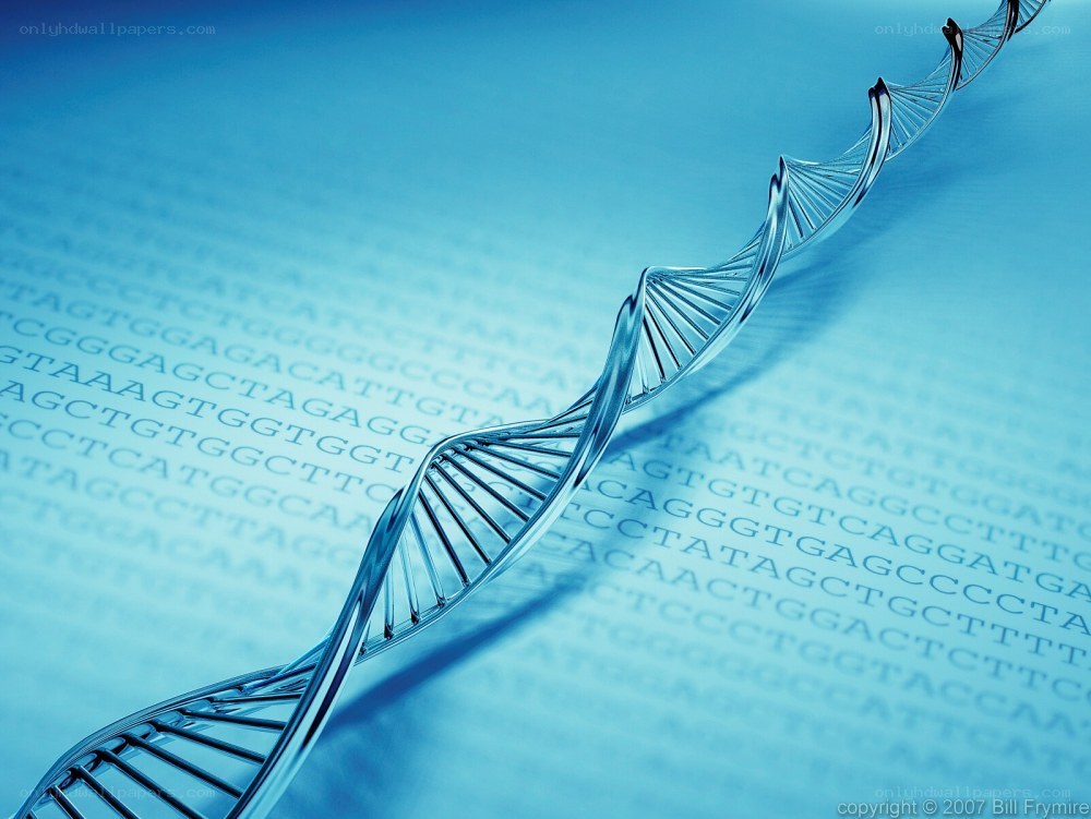 DNA double helix structure