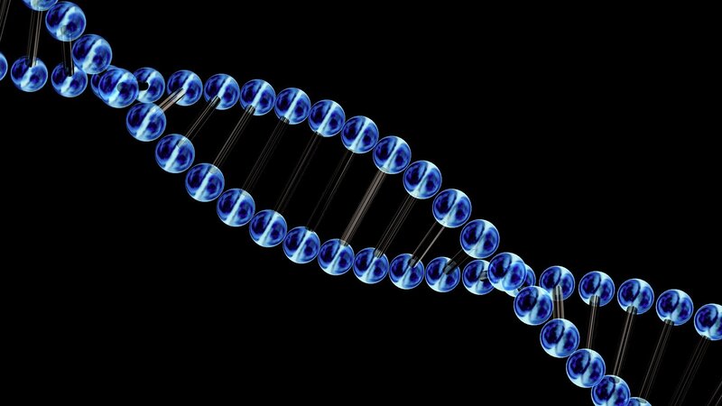 DNA double helix structure