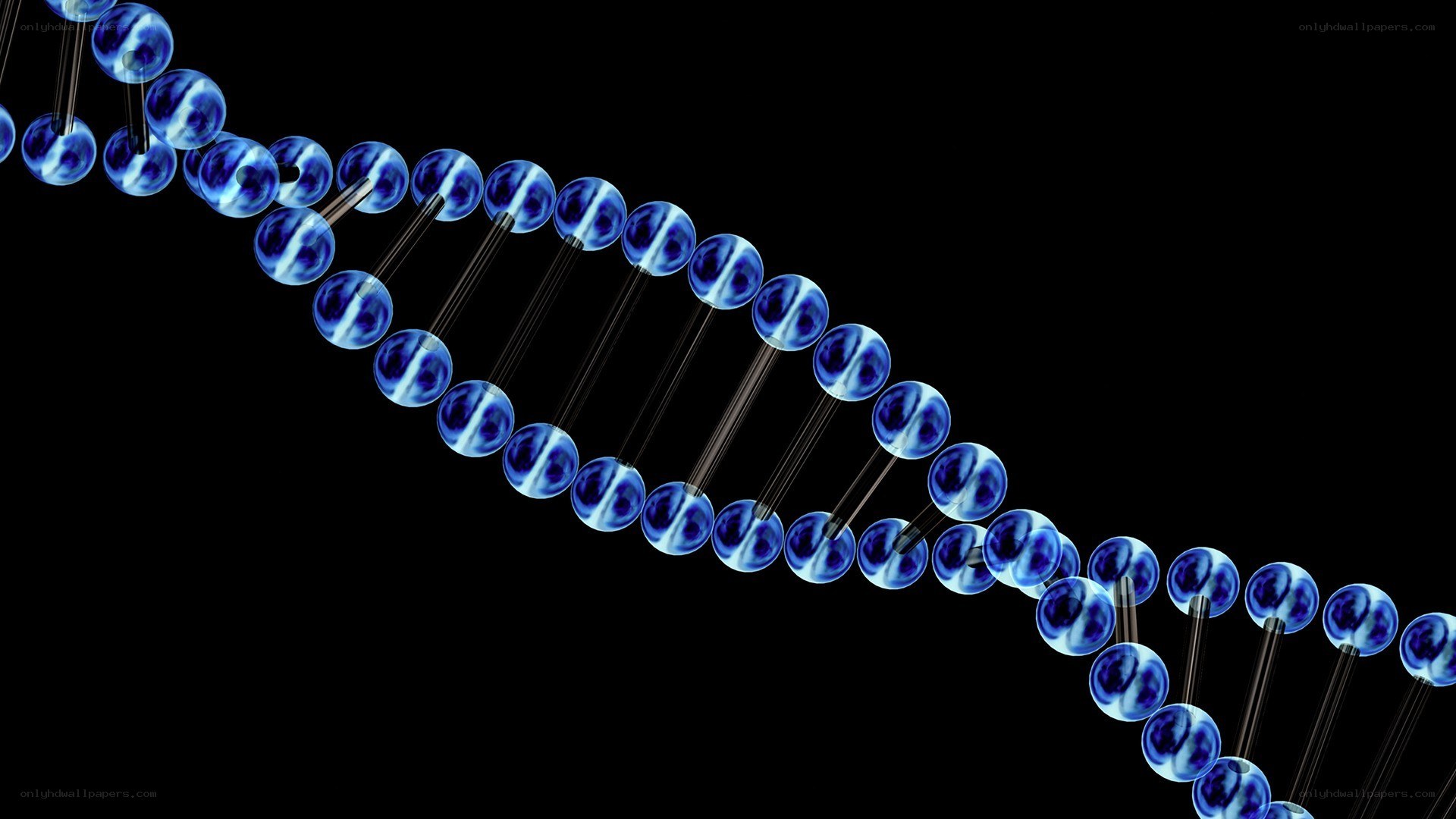 DNA double helix structure