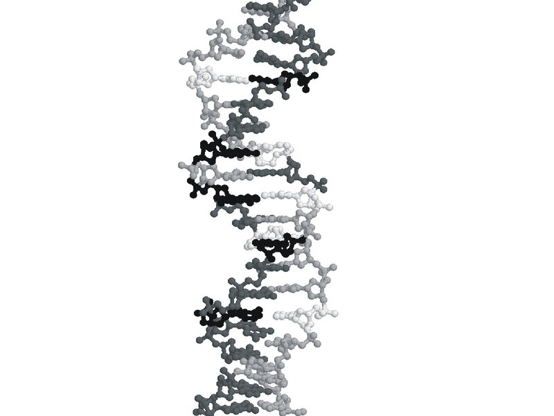 DNA double helix structure