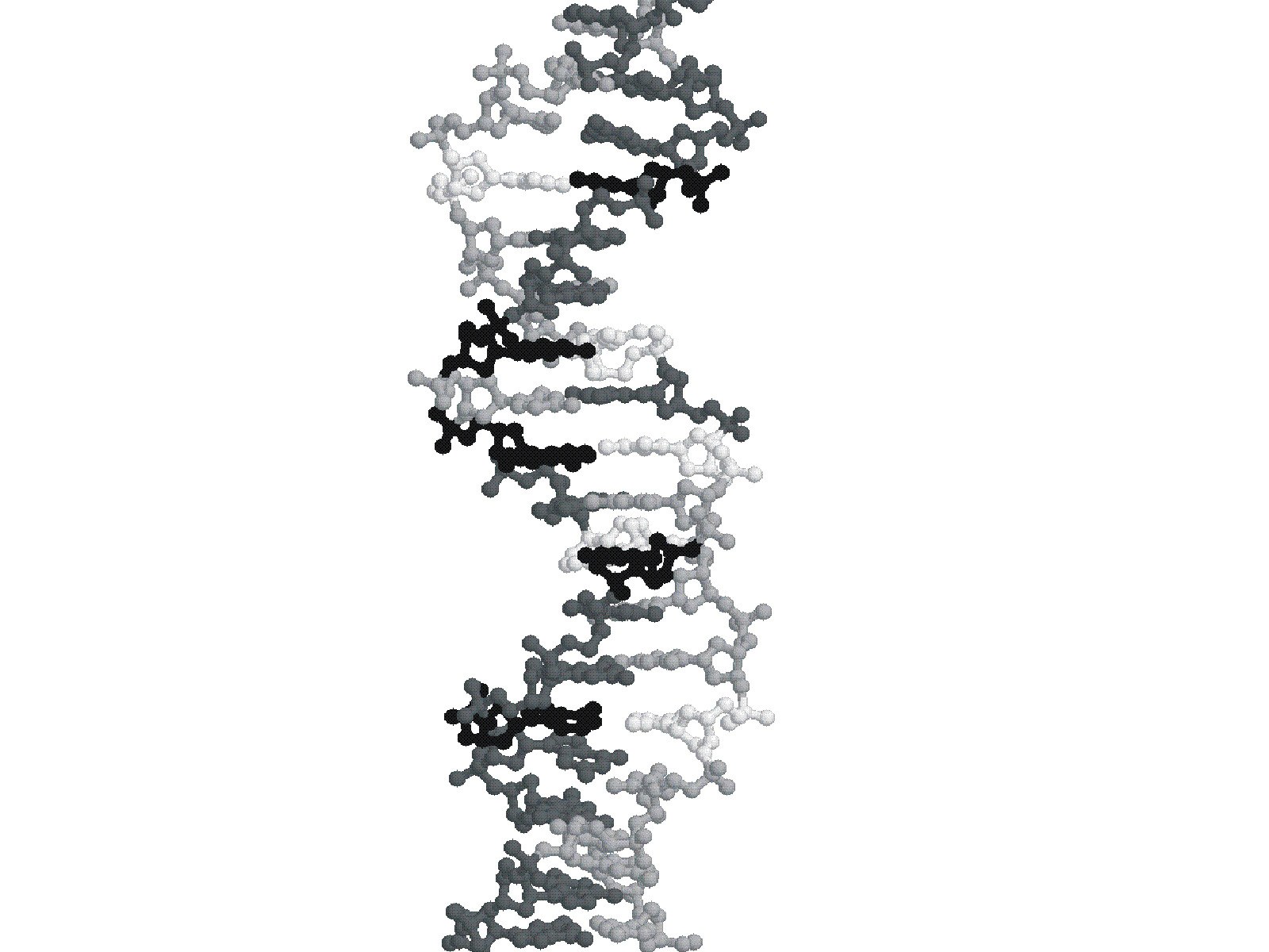DNA double helix structure