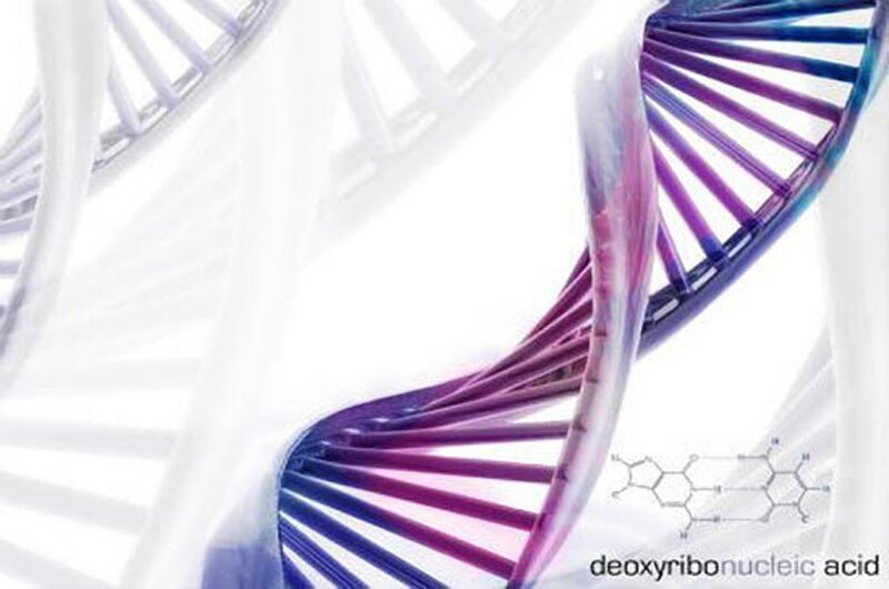 DNA double helix structure