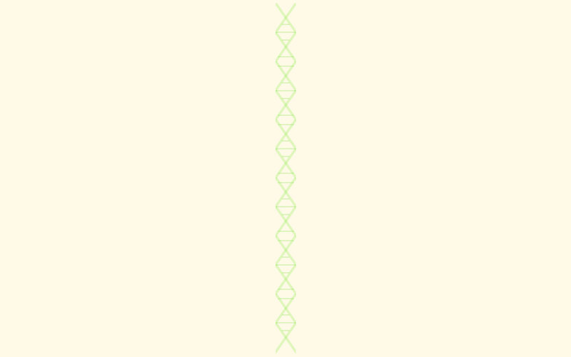 DNA double helix structure