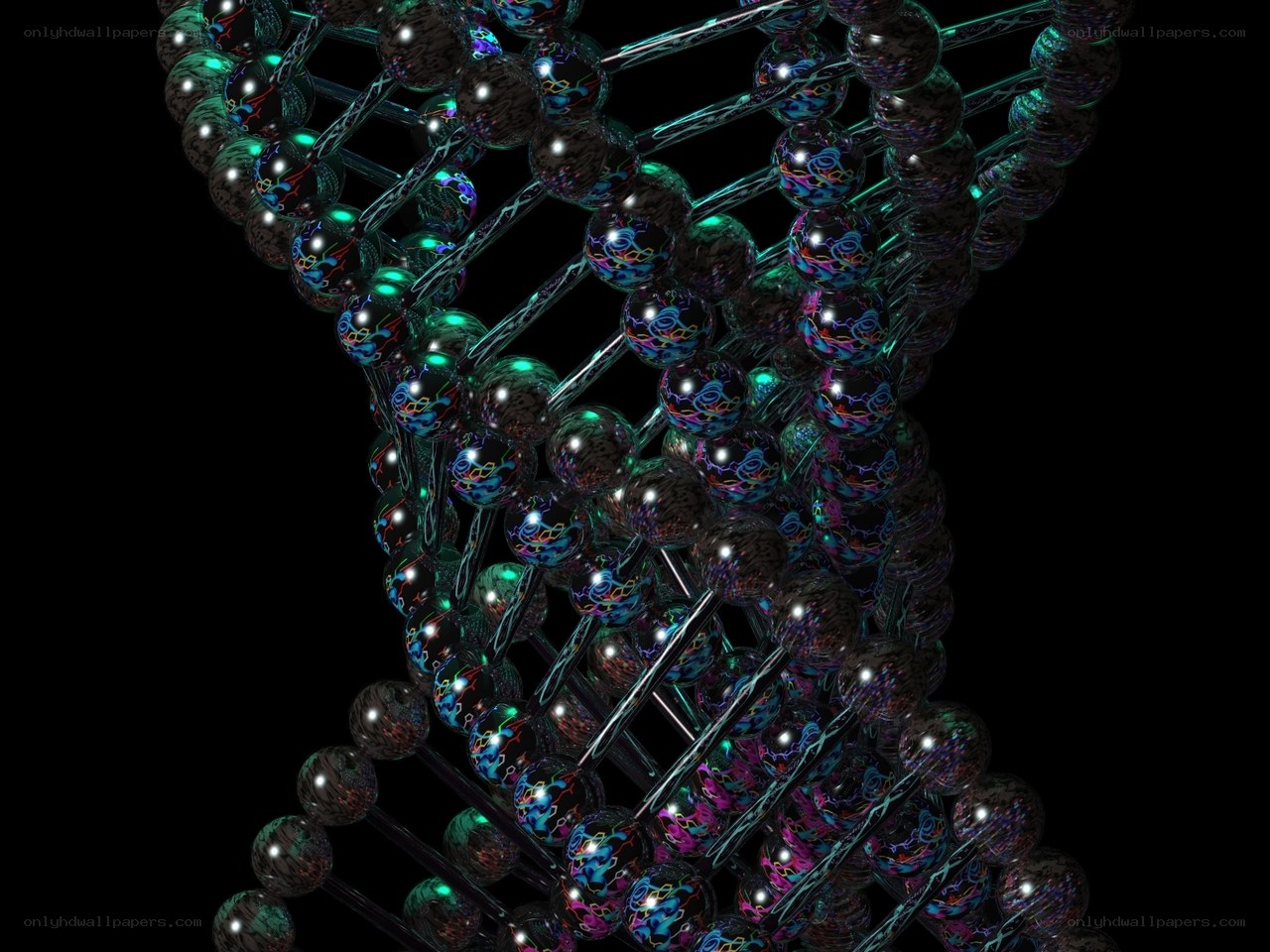 DNA double helix structure