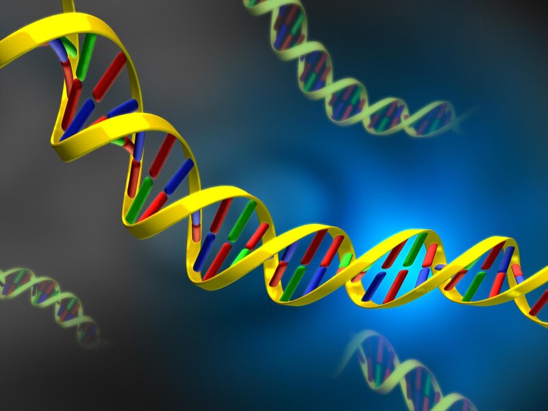 DNA double helix structure