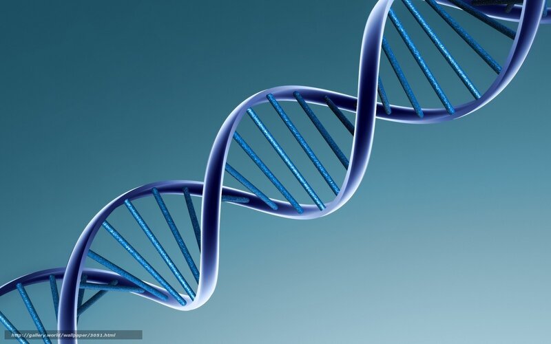 DNA double helix structure