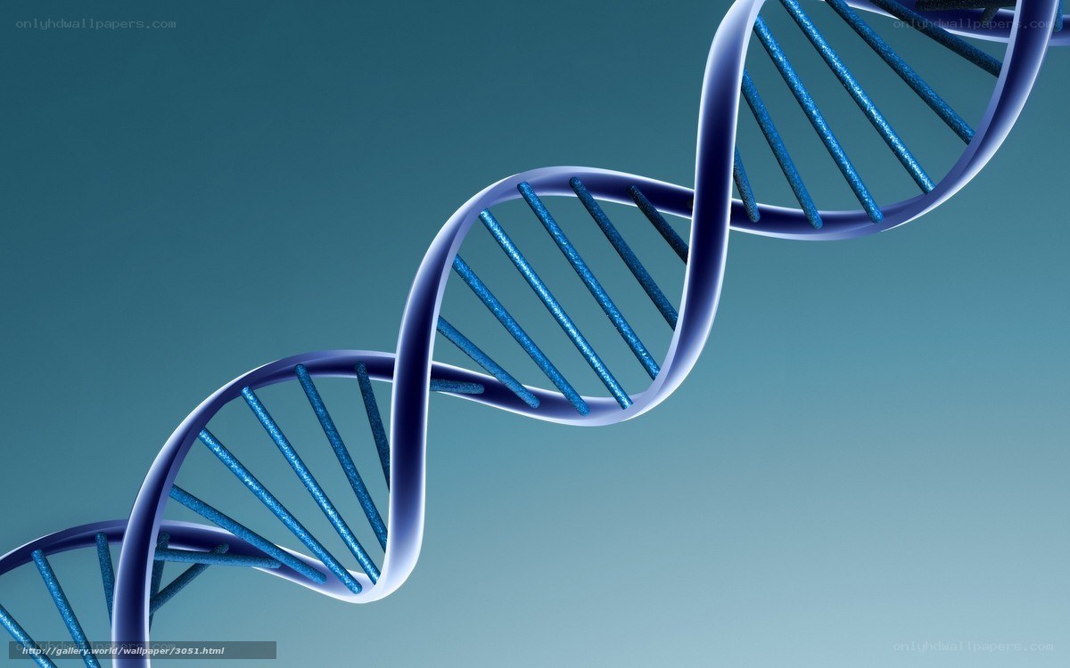DNA double helix structure