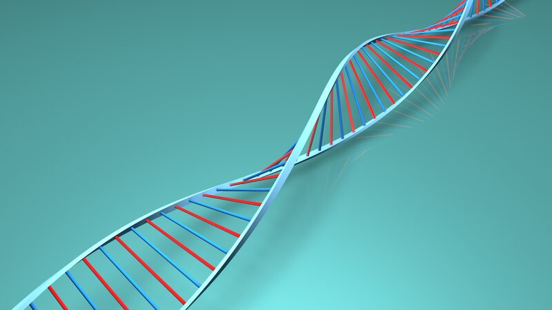 DNA Double Helix — Teal