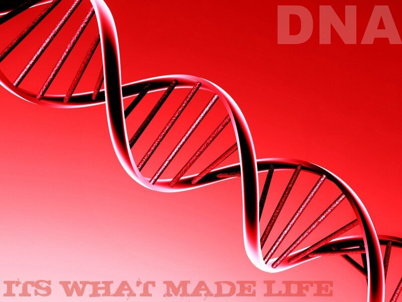 DNA Double Helix