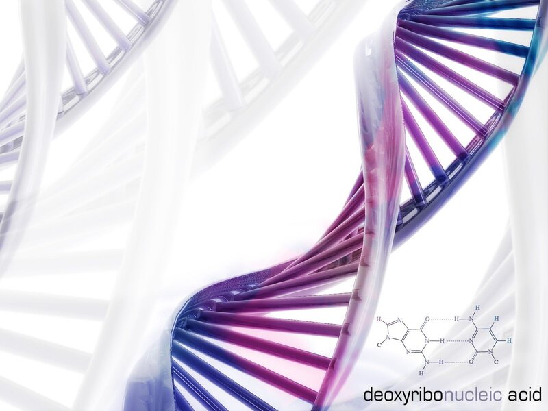 DNA Double Helix — White, Scientific, 3d Render