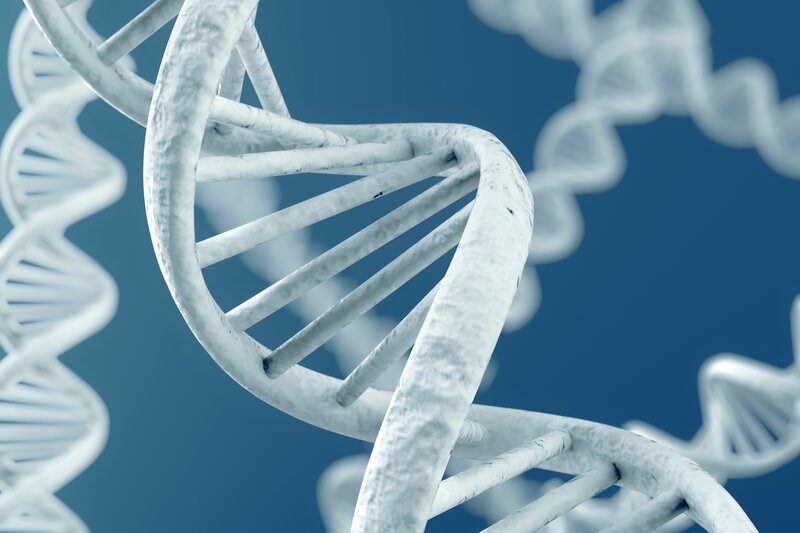 DNA Double Helix — White