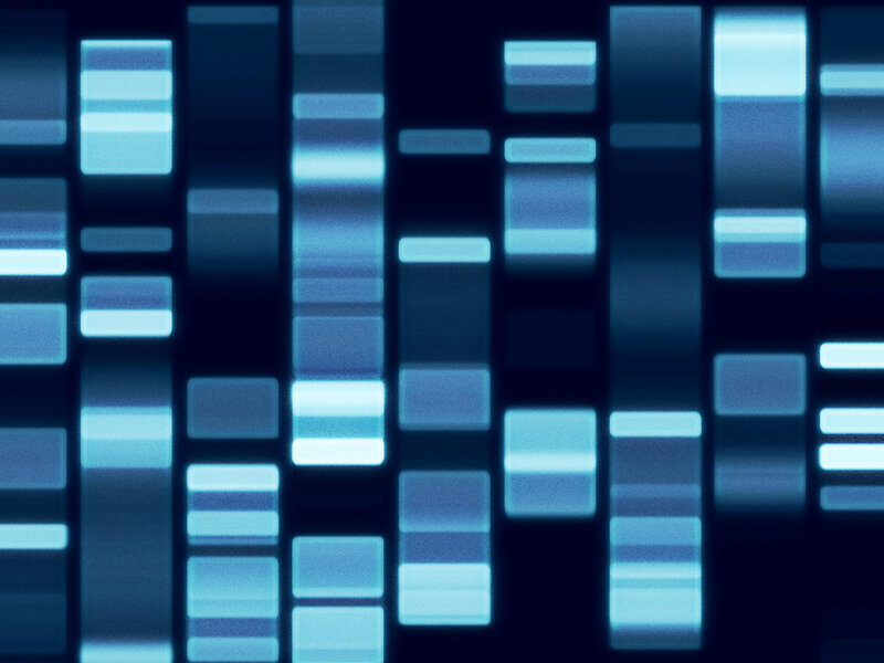DNA Gel Electrophoresis — Blue