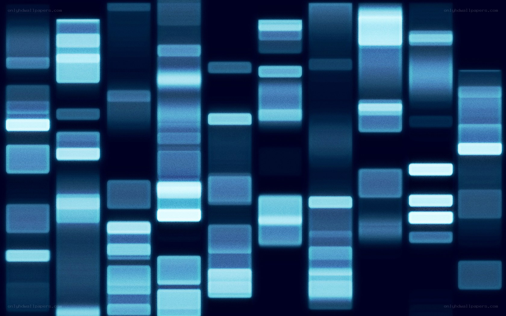 DNA gel electrophoresis pattern