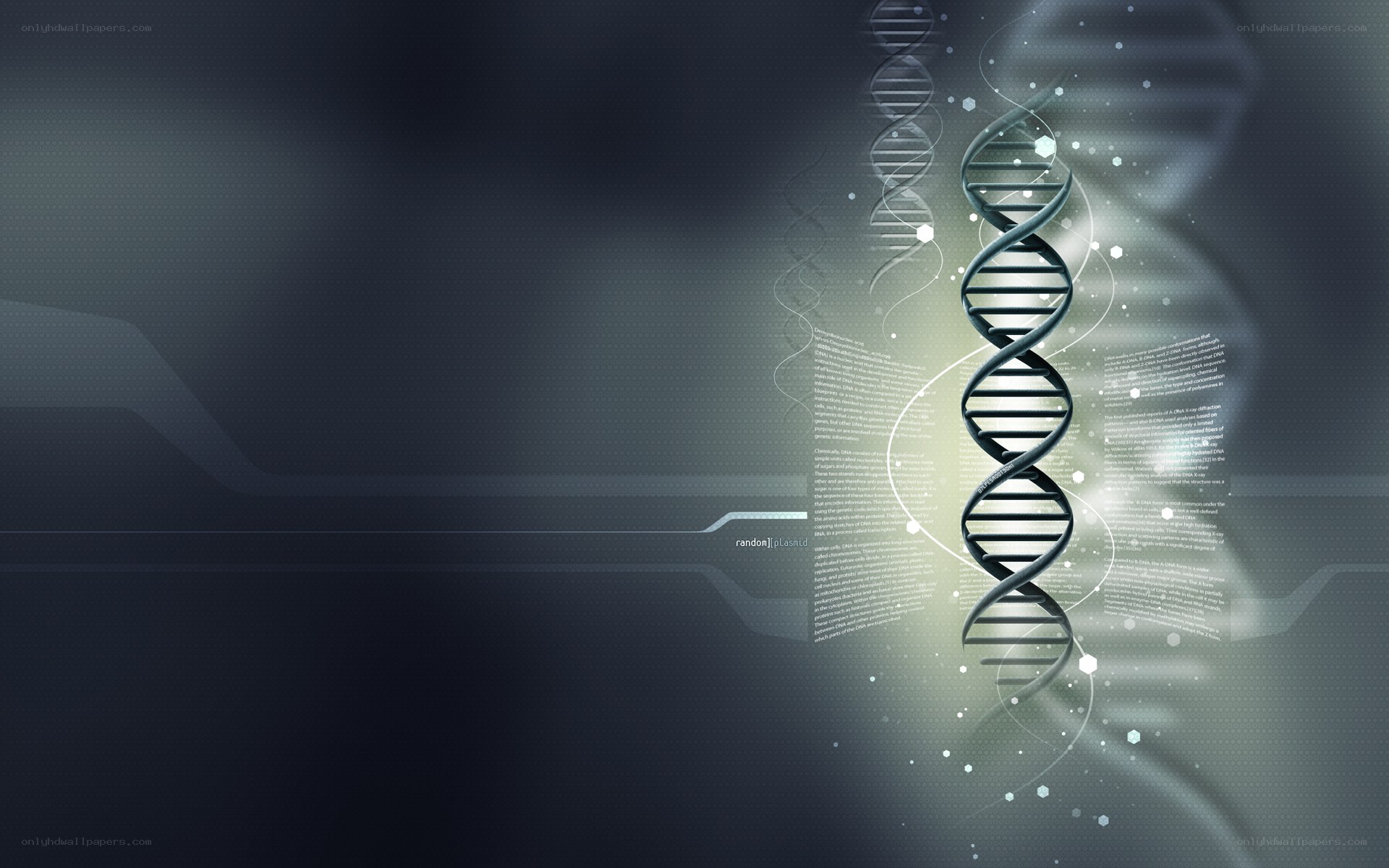 DNA helix in digital space