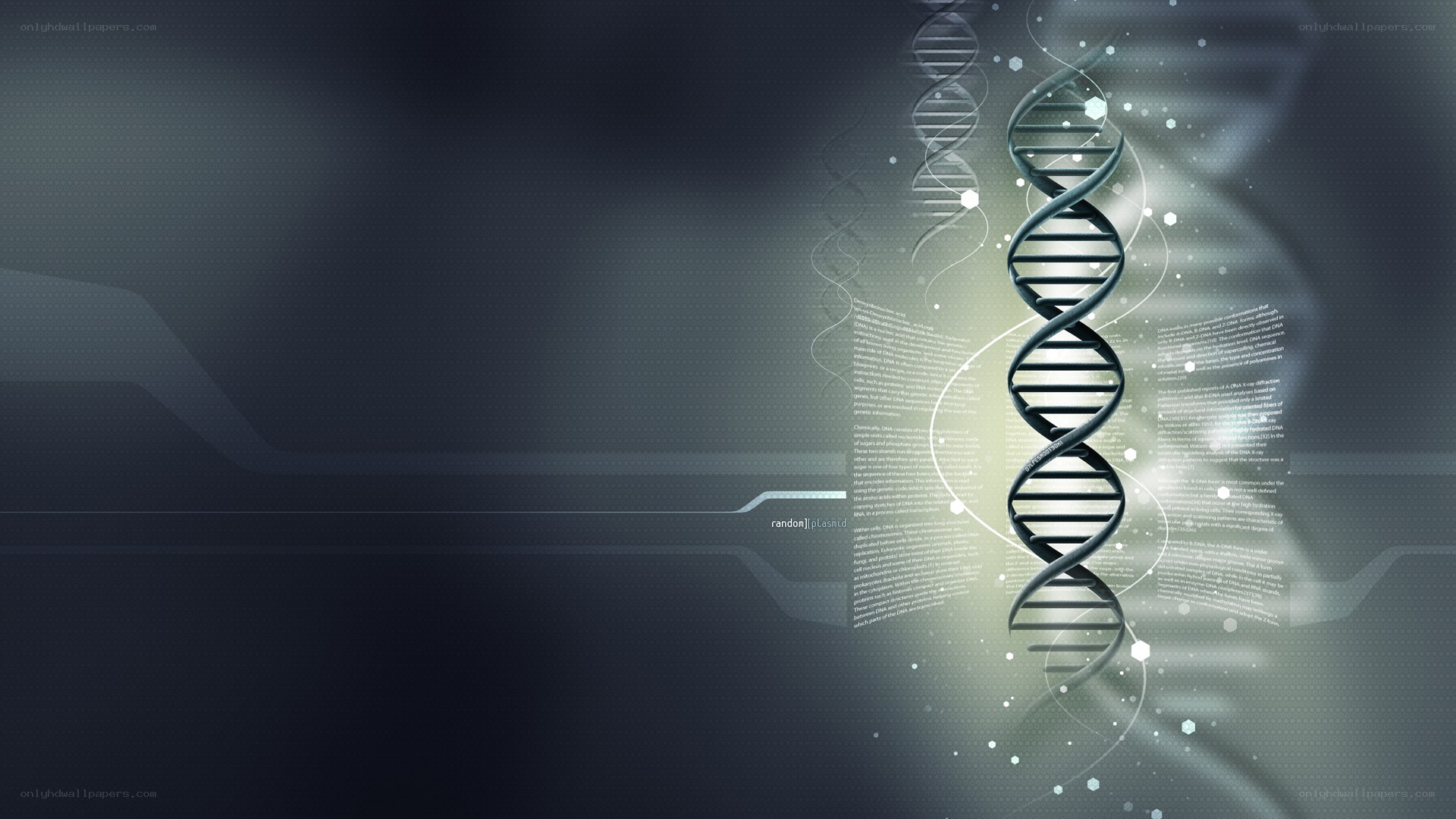 DNA helix in digital space