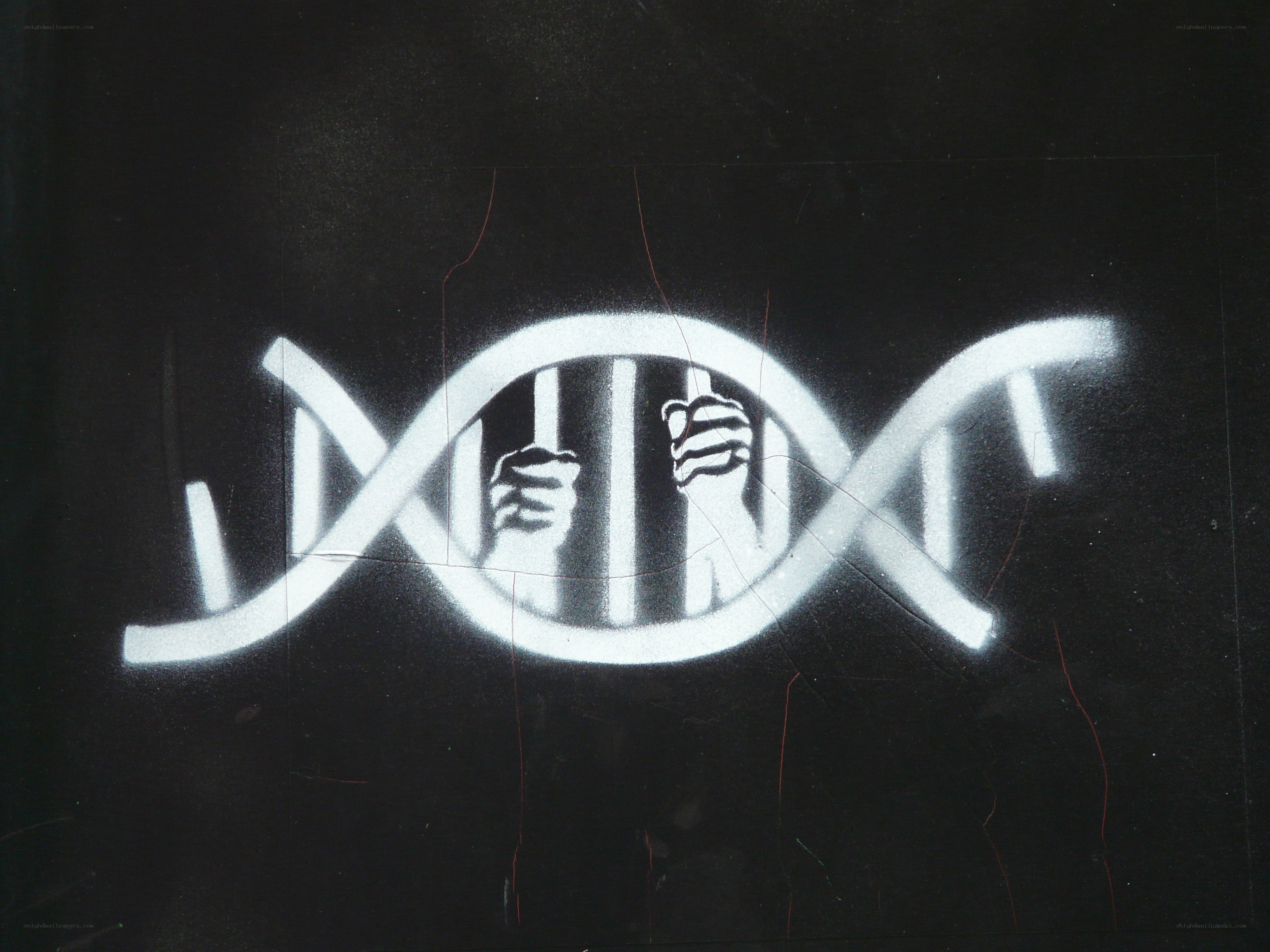 DNA prison graffiti art